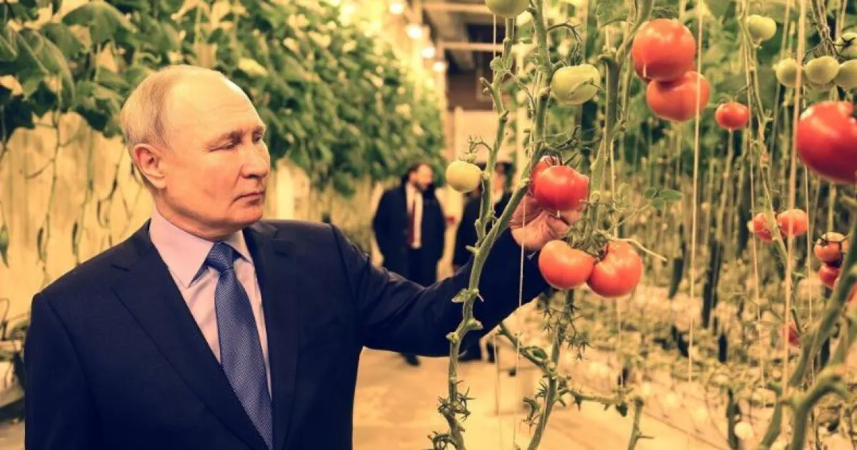 Путин, Чукотка